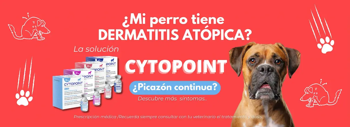 productos para perritos con dermatitis Cytopoint