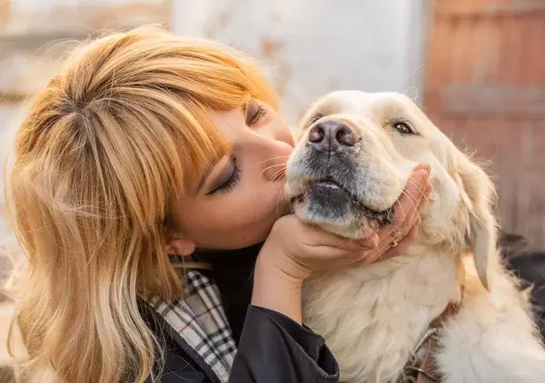 Comprender el comportamiento de las mascotas