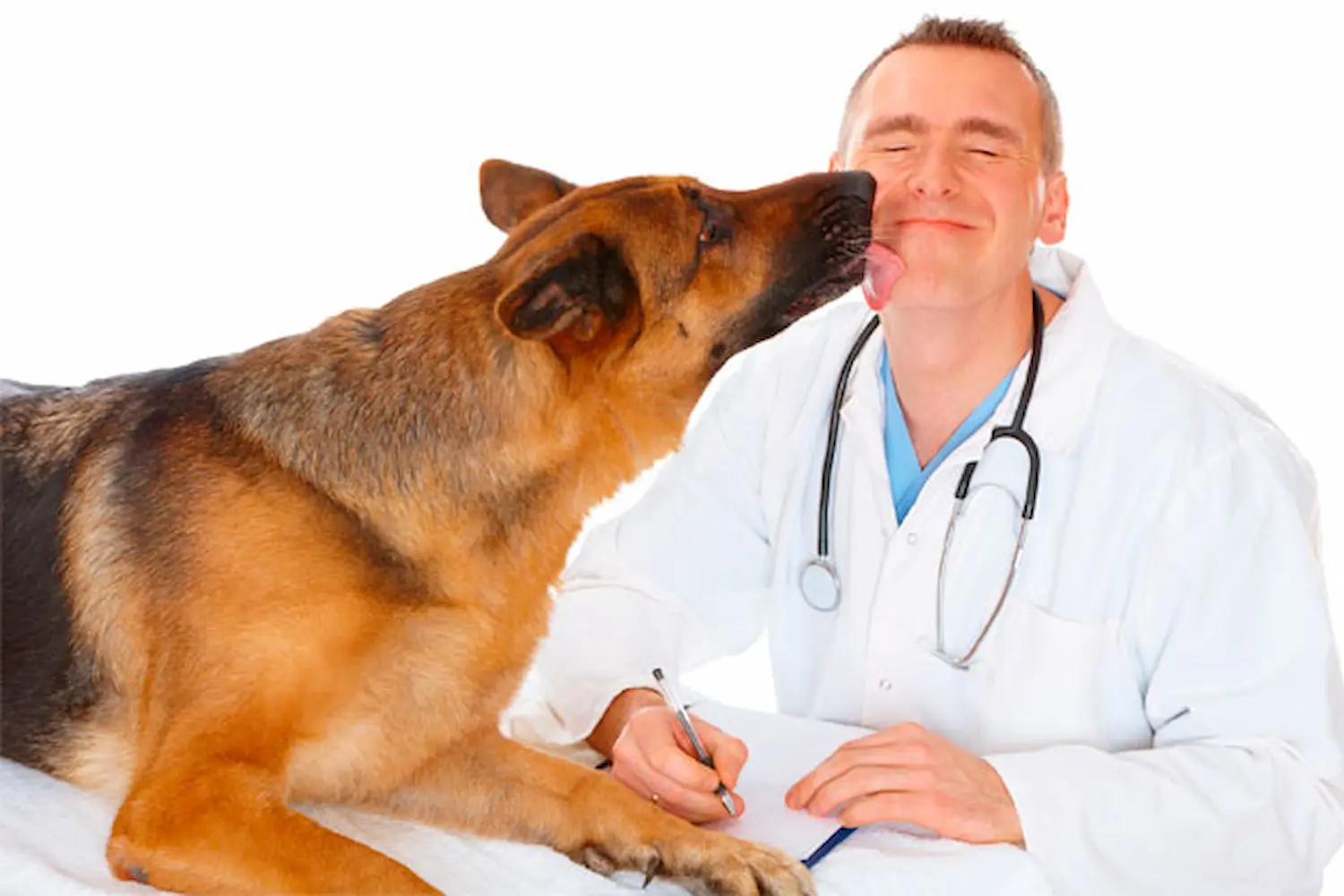 visitas al veterinario
