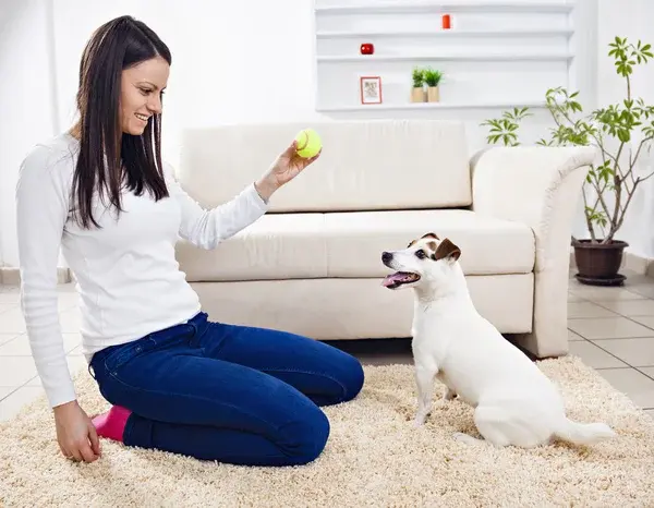 jugando con mi mascota