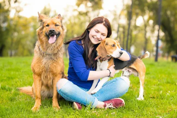 Mascotas felices