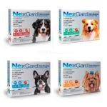 Nexgard para perros