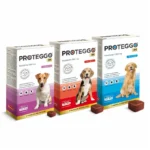 Proteggo 3M | Antipulgas para Perros