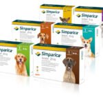 Simparica perros | Antipulgas