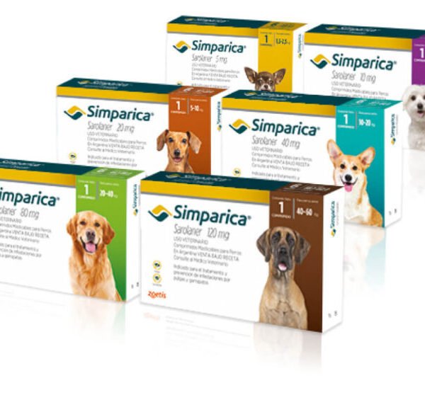 Simparica perros | Antipulgas