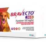 Bravecto 365