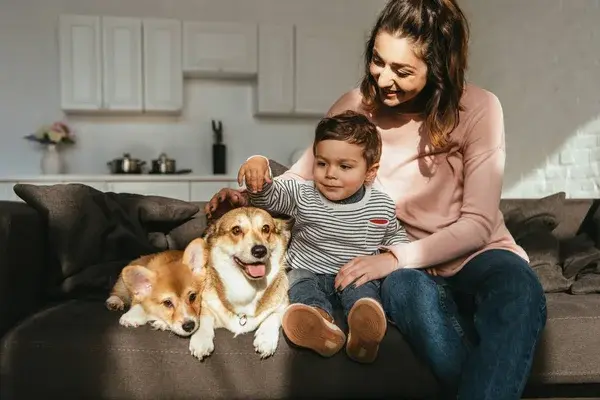 Cuándo desparasitar a mi perro