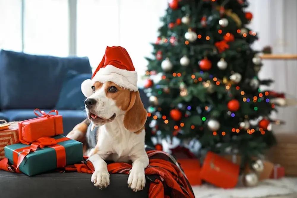 Perros y navidad