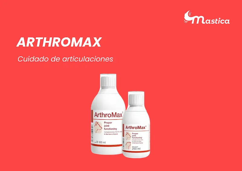 Arthromax Cuida las articulaciones de tu mejor amigo