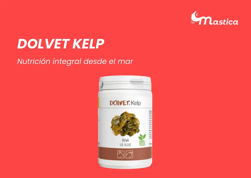 dolvet kelp Nutricion integral desde el mar