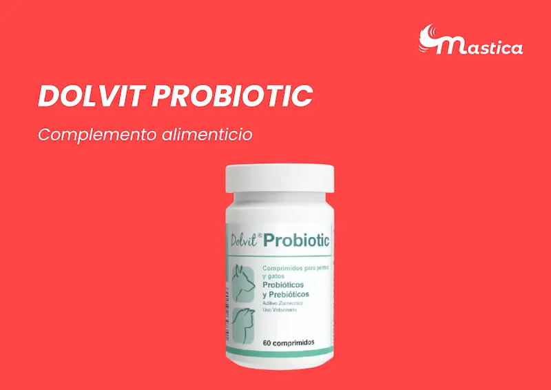 dolvit probiotic El equilibrio digestivo que tu perro necesita