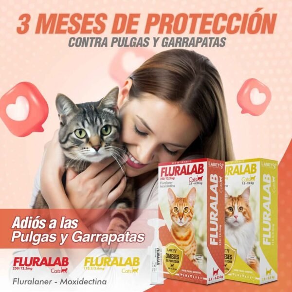 fluralab cat promoción
