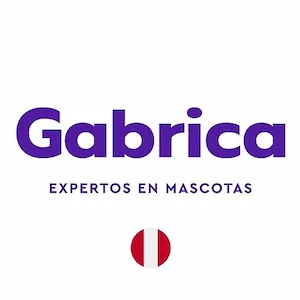 gabrica expertos en mascotas
