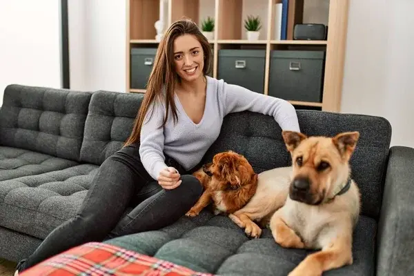 vitaminas para perros