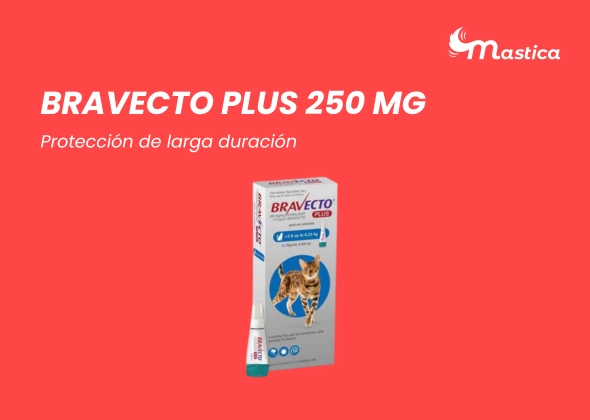 Las 4 mejores pipetas para gatos: Guía completa para proteger a tu felino Bravecto Plus una de las mejores pipetas para gatos