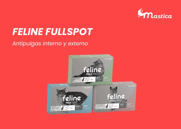 Las 4 mejores pipetas para gatos: Guía completa para proteger a tu felino Feline Fulspot una de las mejores pipetas para gatos