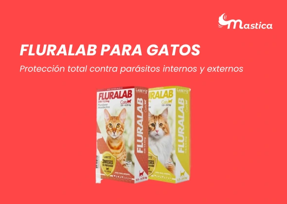 Las 4 mejores pipetas para gatos: Guía completa para proteger a tu felino Fluralab para gatos una de las mejores pipetas para gatos