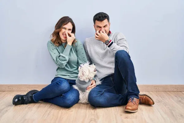 ¿Cómo quitarle el mal olor a mi perro Mantenlo radiante