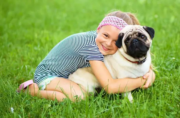 Perrito pug siendo abrazado por su pequeña compañera