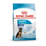 Royal Canin SHN Maxi Puppy