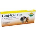 carprovet-carprofeno-100mg