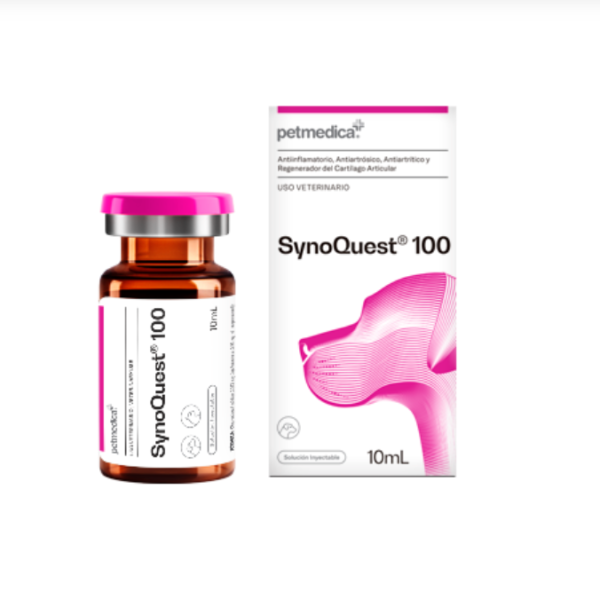 synoQuest 100
