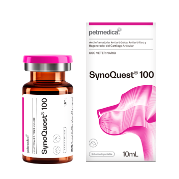 SynoQuest 100 SynoQuest 100