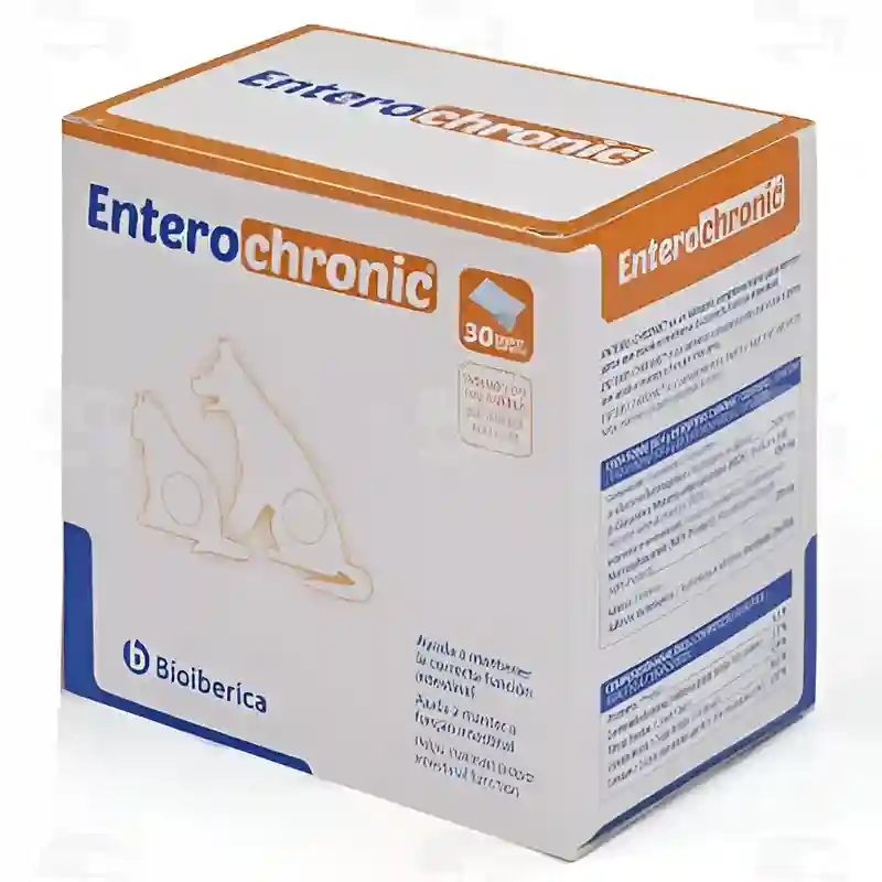 Entero Chronic Entero Chronic