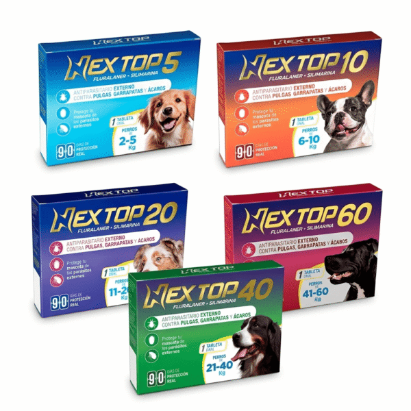 Nex Top