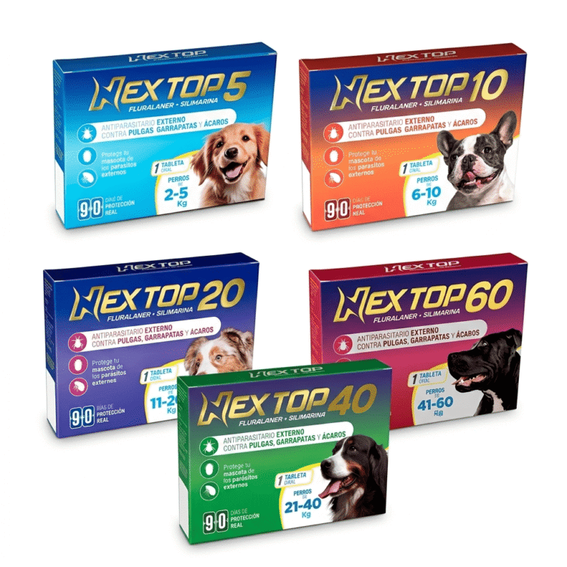 Nex Top Nex Top