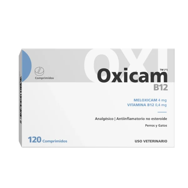 Oxicam-B12