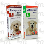gabapentin nrv