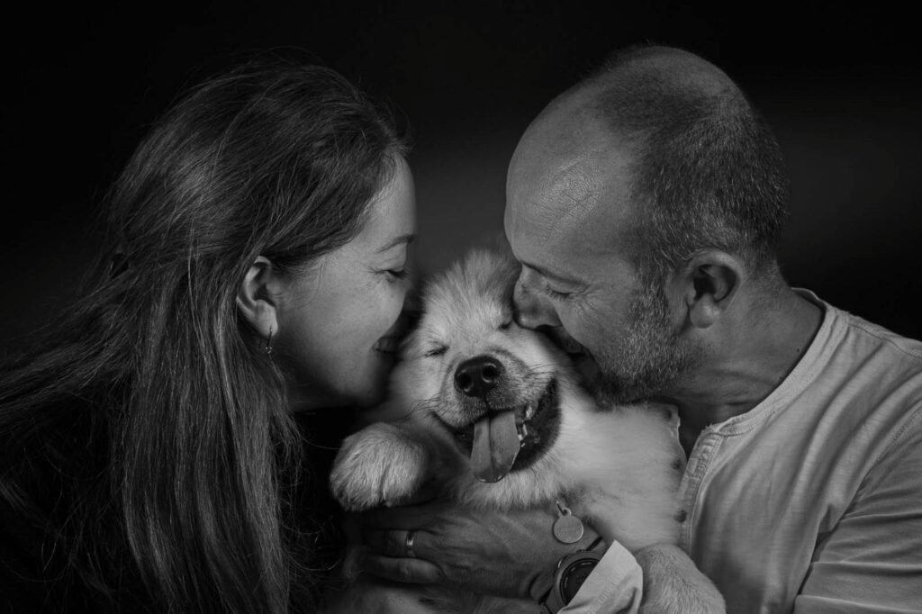 Cómo alimentar a un cachorro: cuánto darle de comer según su edad y peso en Perú (2026) el amor fortalecido por un cachorro