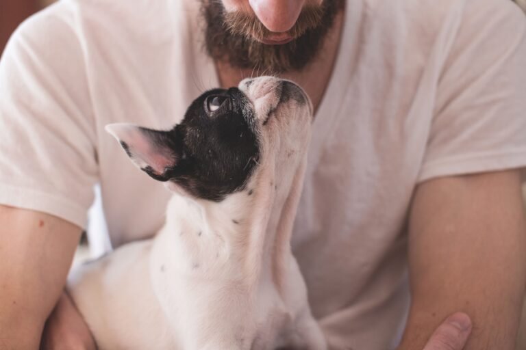 Blog de mascotas dermatitis atopica perros sintomas causas tratamiento Cytopoint Numelvi 2026
