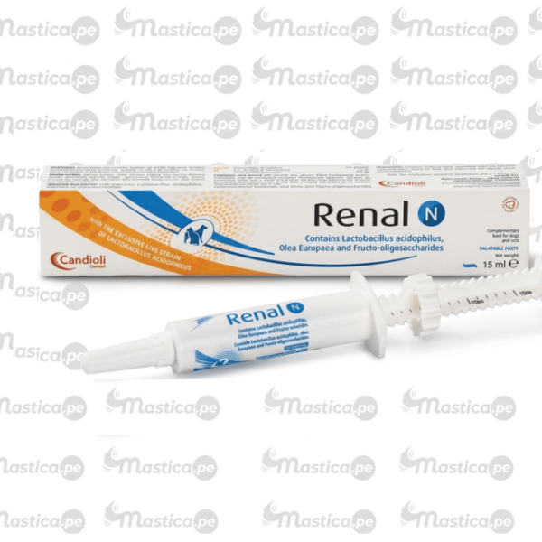 Renal N Pasta 15 ml