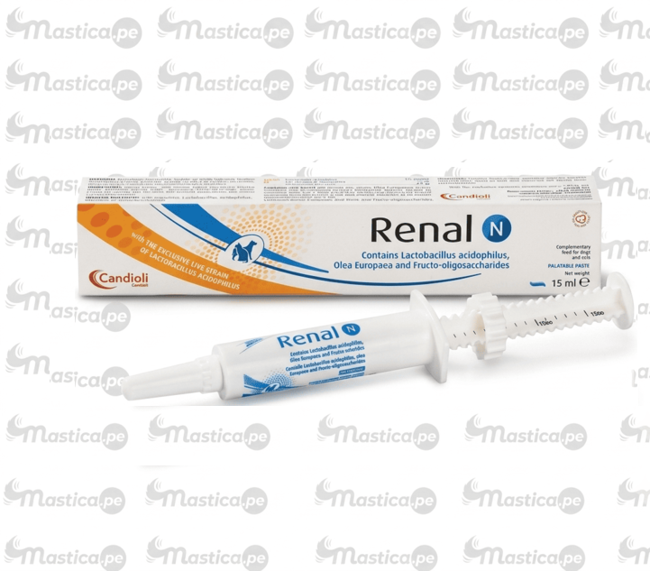 Renal N Pasta 15 ml Renal N Pasta 15 ml