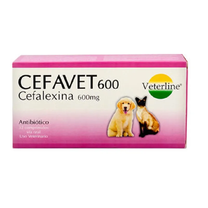 cefavet-600mg cefavet 600mg